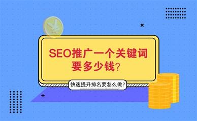 青岛专业的seo多少费用详解:青岛seo价格|2024年08月更新